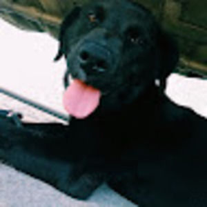 Meet your Posher, Mackayla